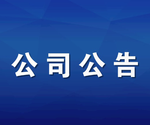 第十届董事会第十一次会议决议公告